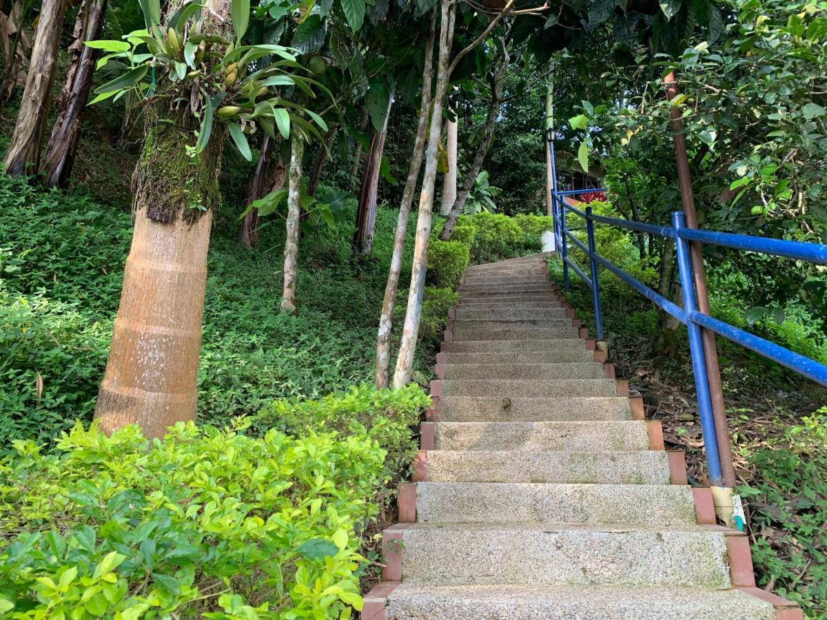 Finca Altamira 拉维加 外观 照片